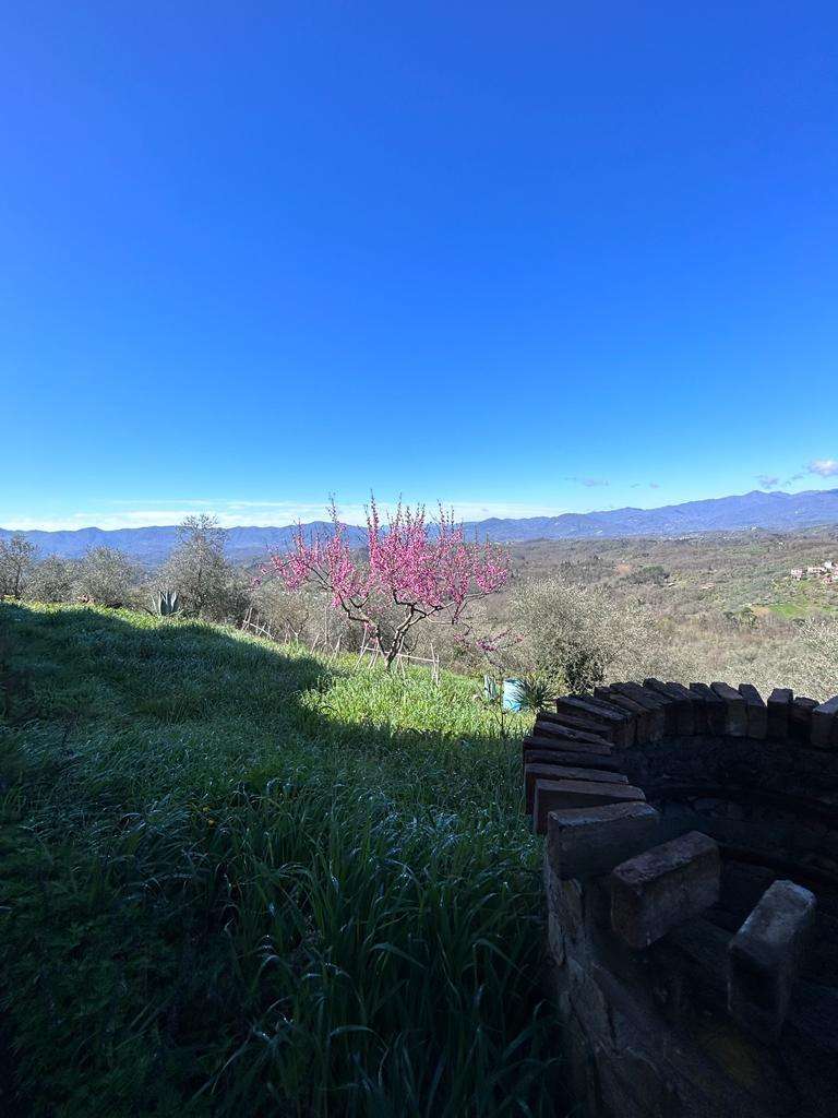  - foto 67