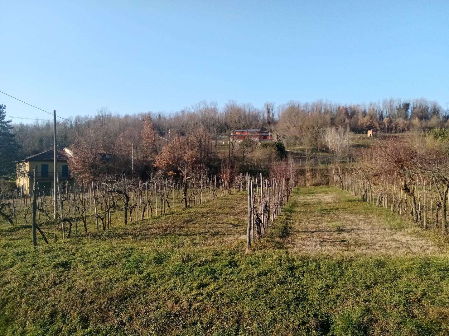 immagine annuncio 3 di 11