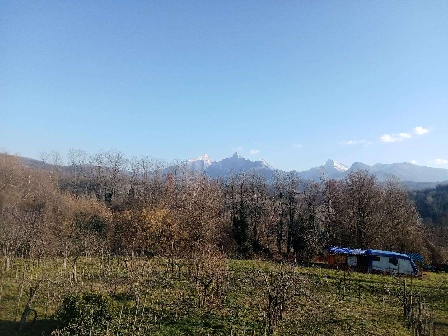 immagine annuncio 4 di 11