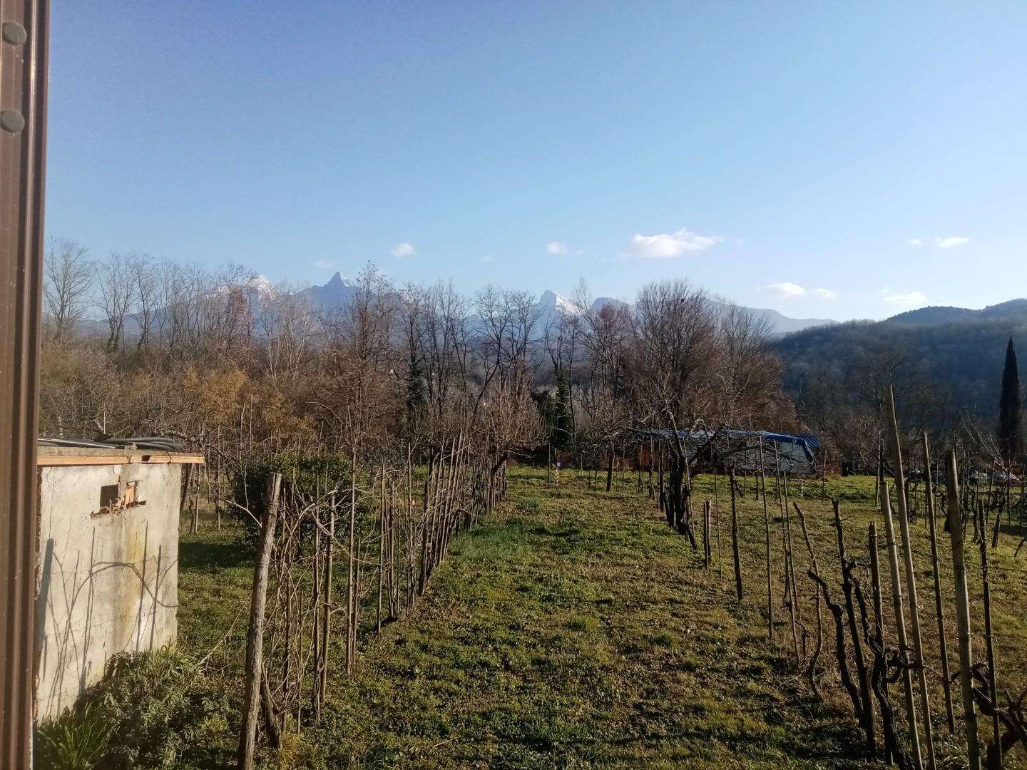 immagine annuncio 5 di 11