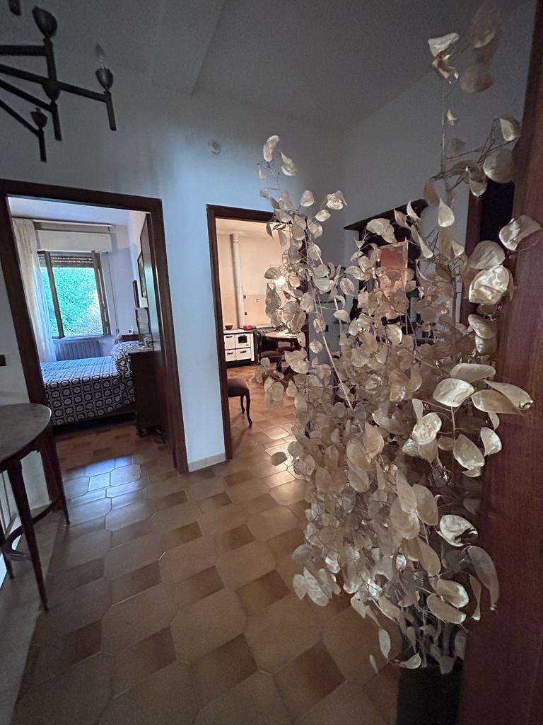  - foto 24