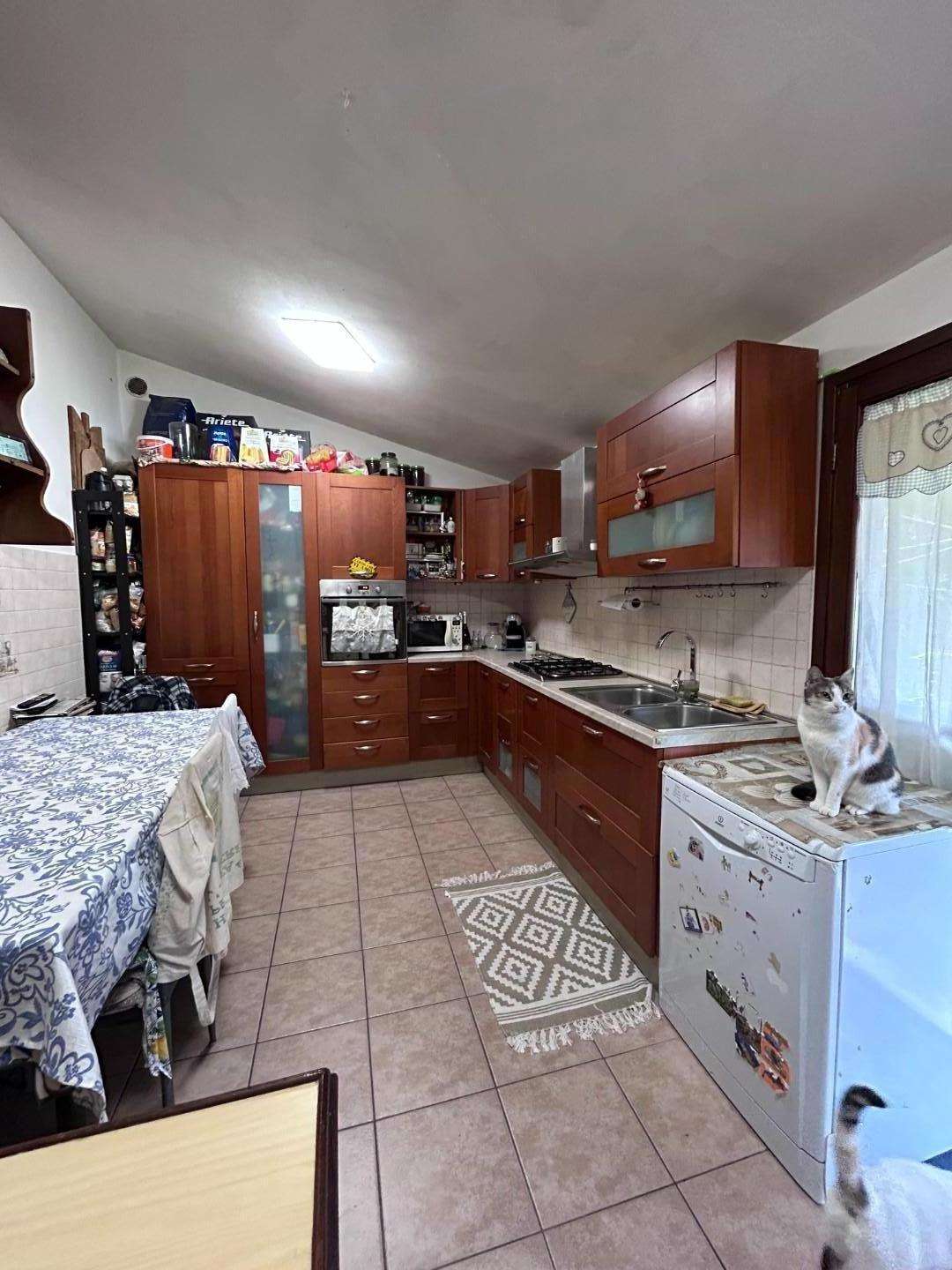  - foto 5