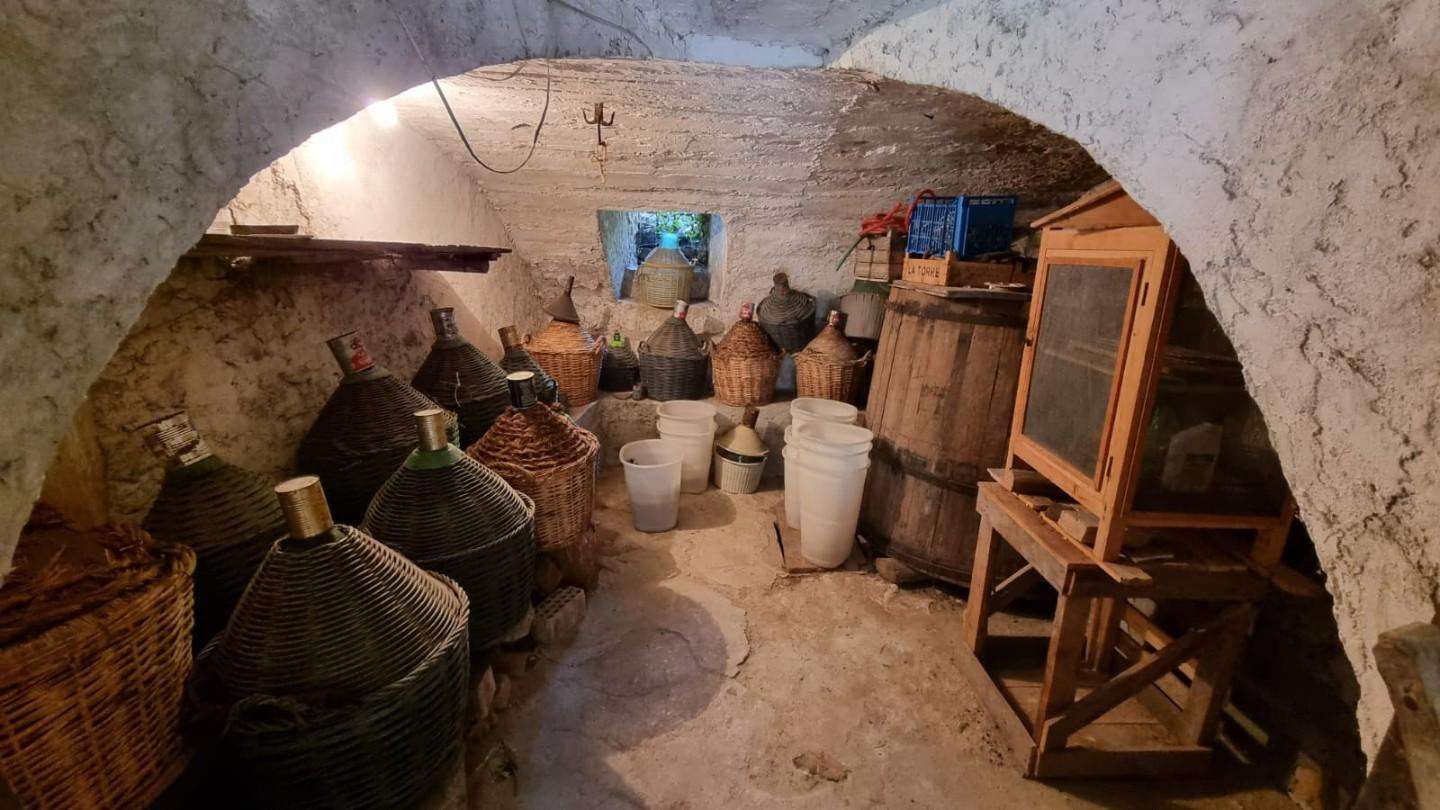  - foto 14