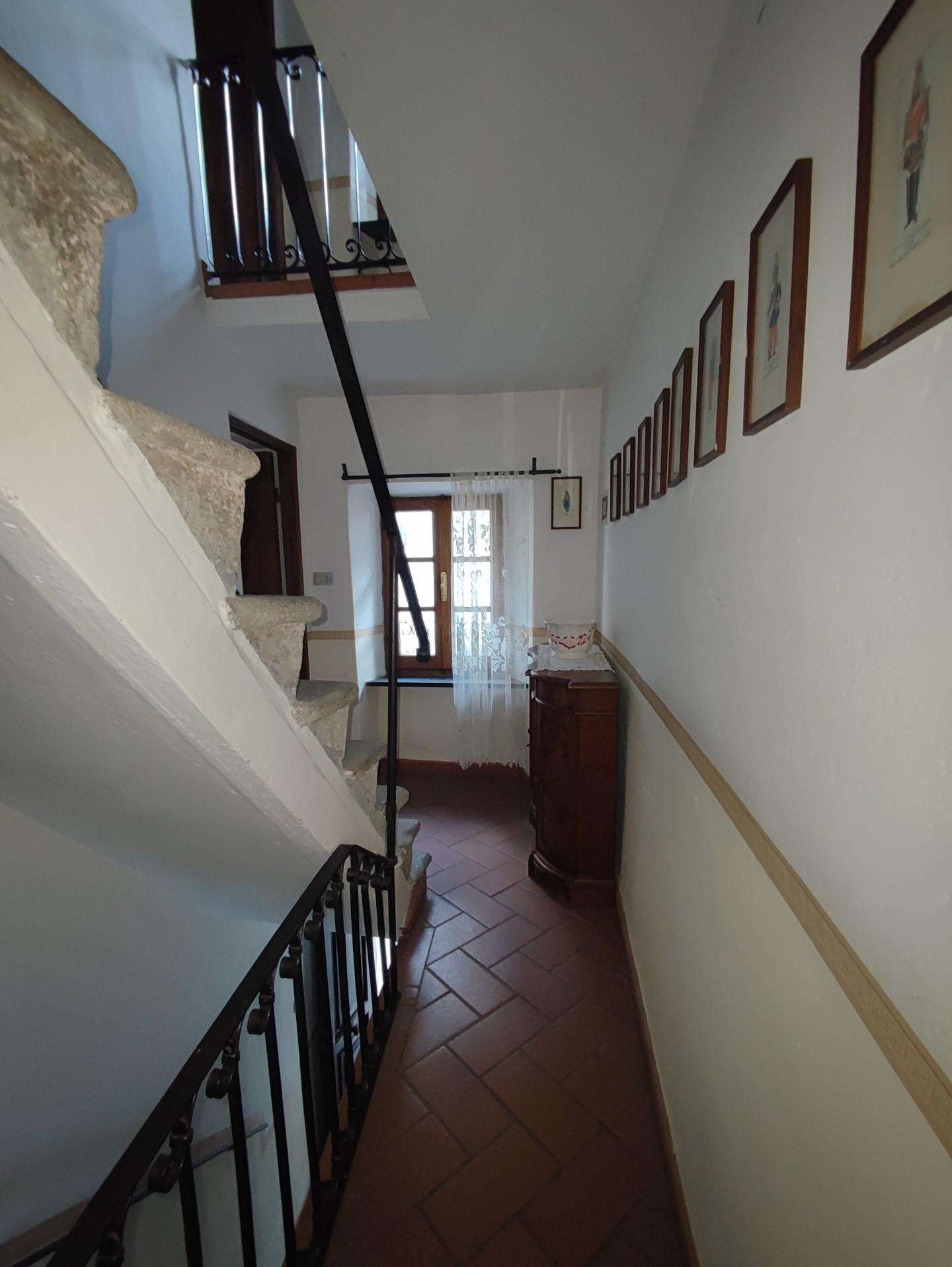  - foto 13