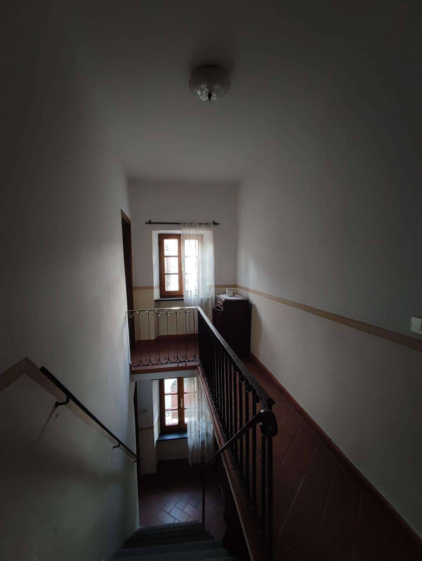 - foto 25