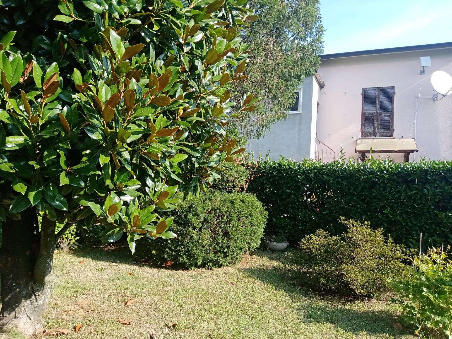 immagine annuncio 6 di 14