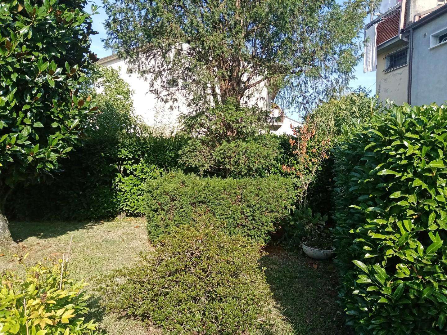 immagine annuncio 8 di 14