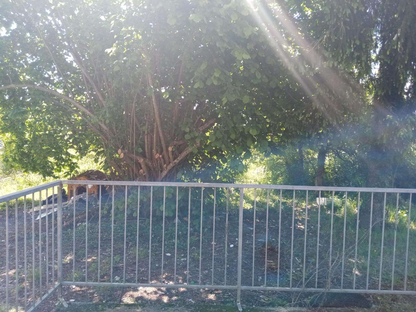 Porzione di casa Filippo Guerrieri, Licciana Nardi