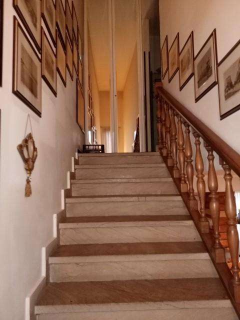  - foto 13