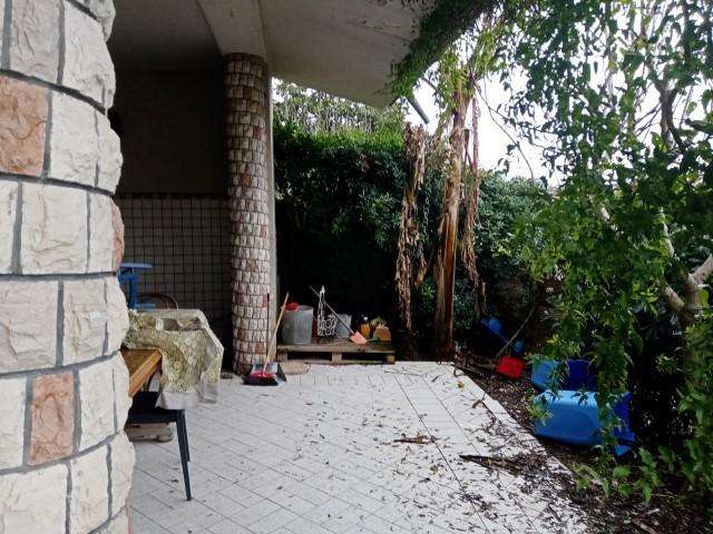  - foto 3