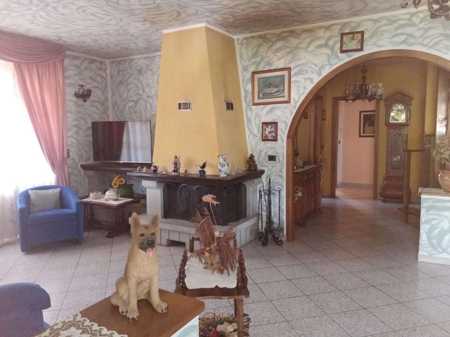 immagine annuncio 9 di 13