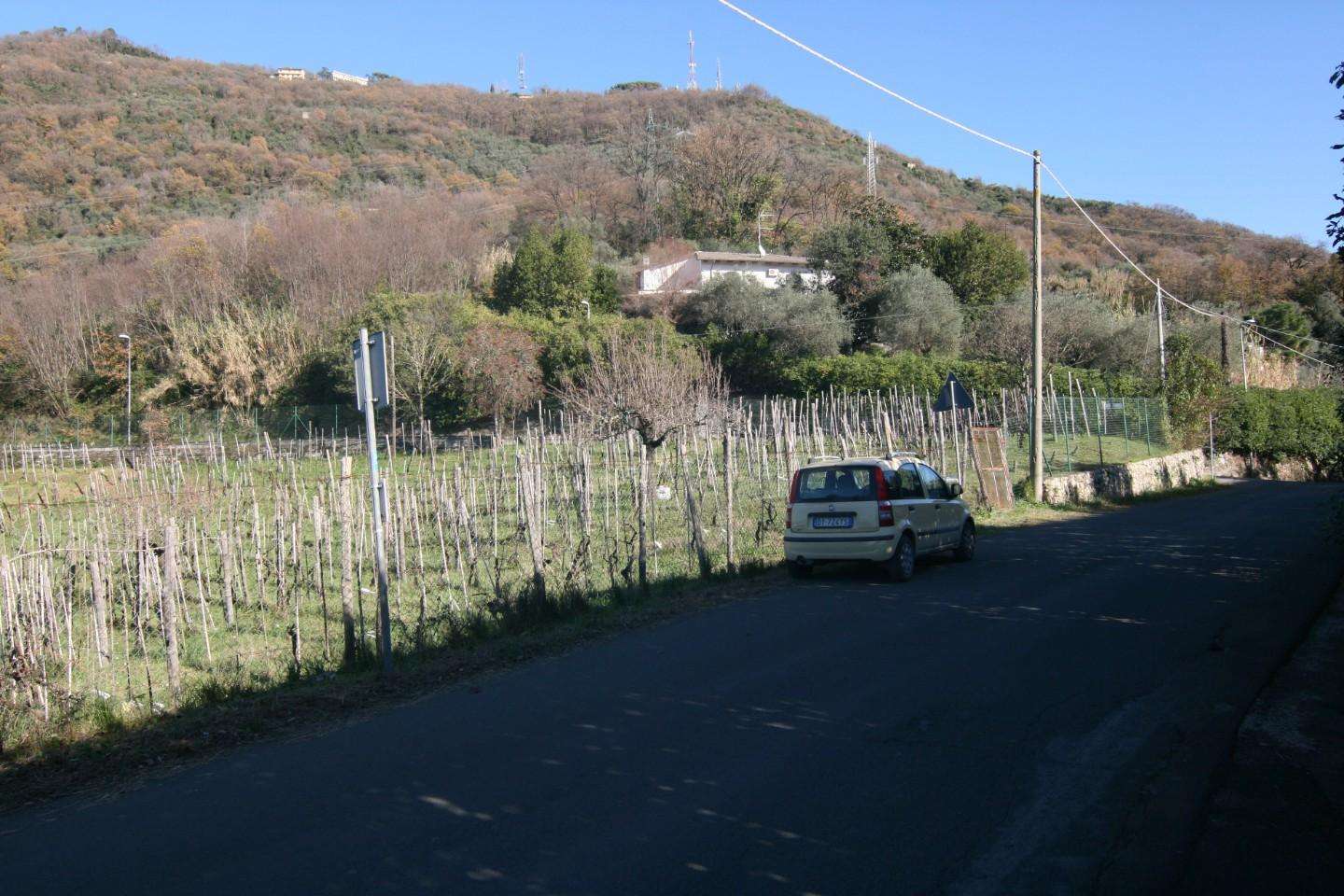  - foto 30