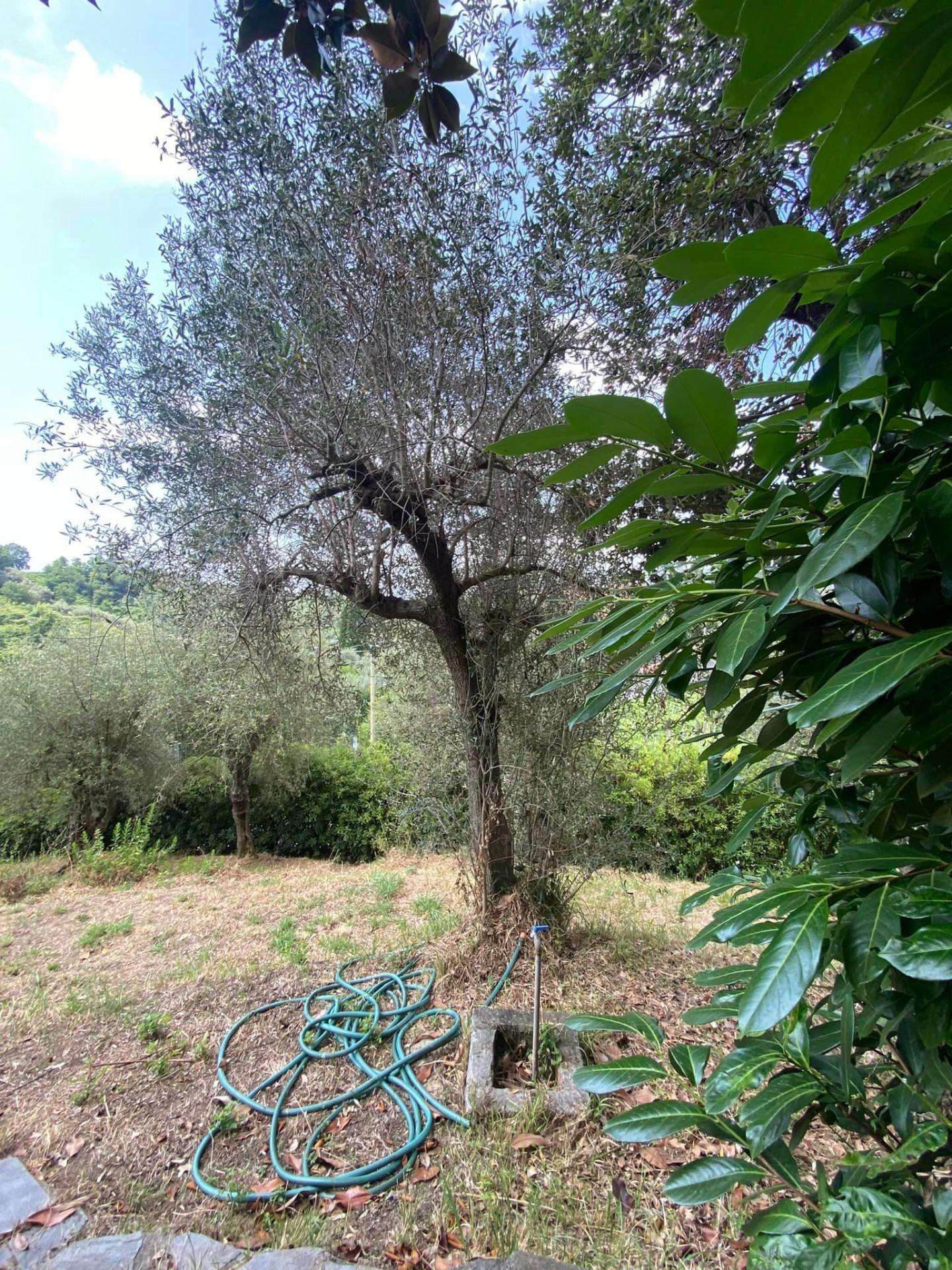  - foto 5