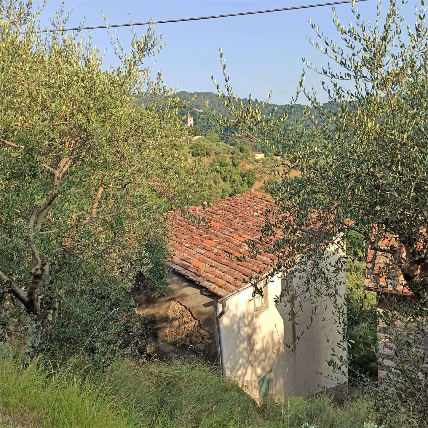  - foto 3