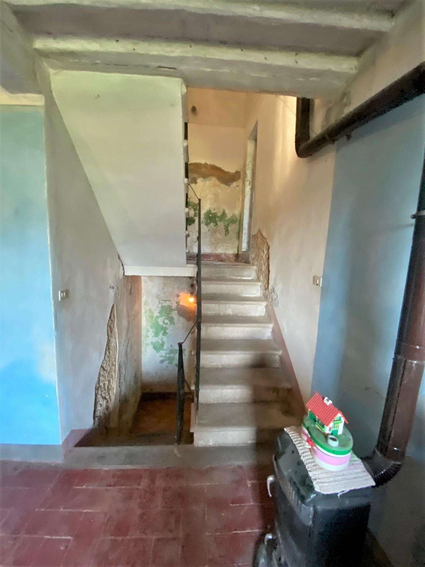 - foto 8