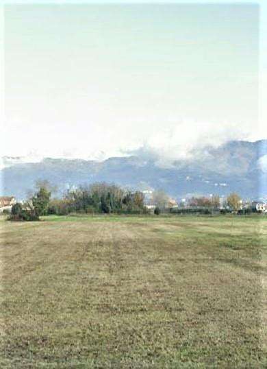 Terreno agricolo in Vendita a Lucca San Pietro A Vico,