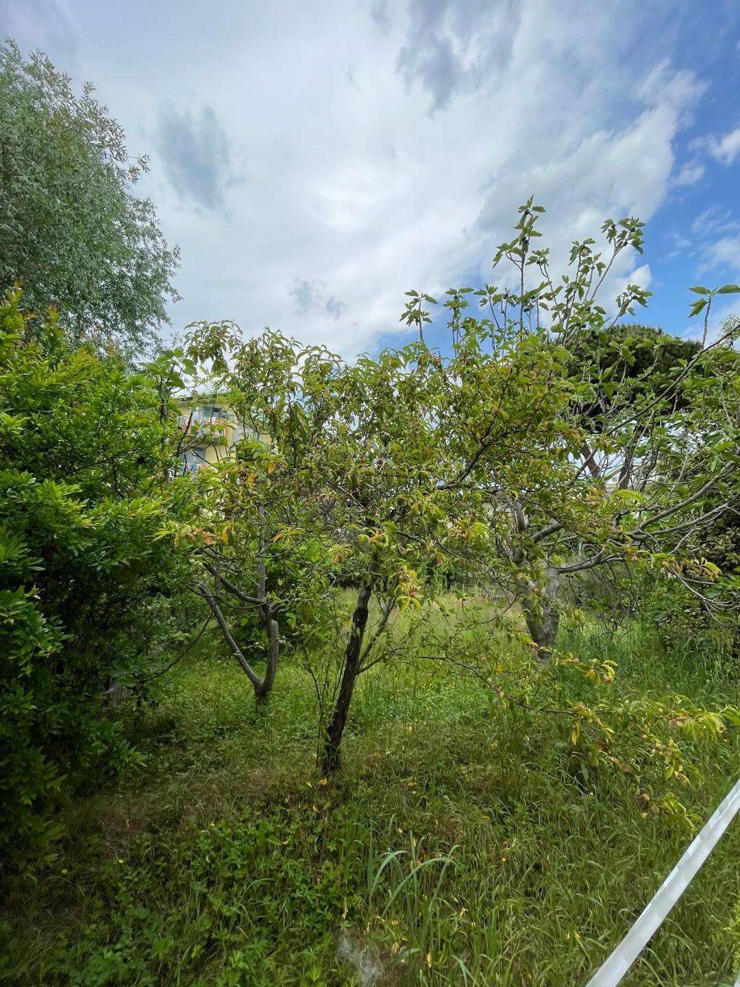 Terreno agricolo Via Giovanni Sercambi,  349, Lucca