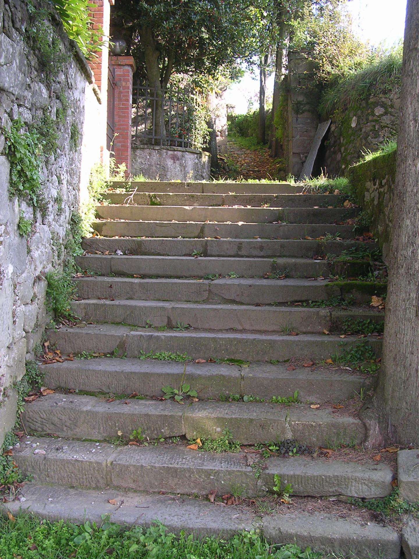 - foto 29