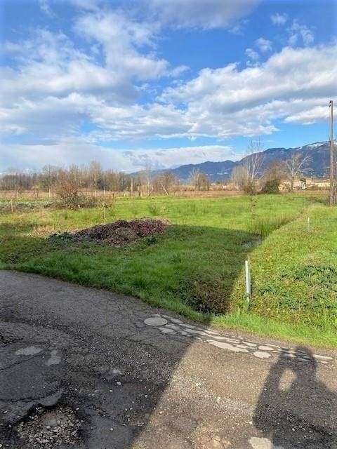 immagine annuncio 5 di 7