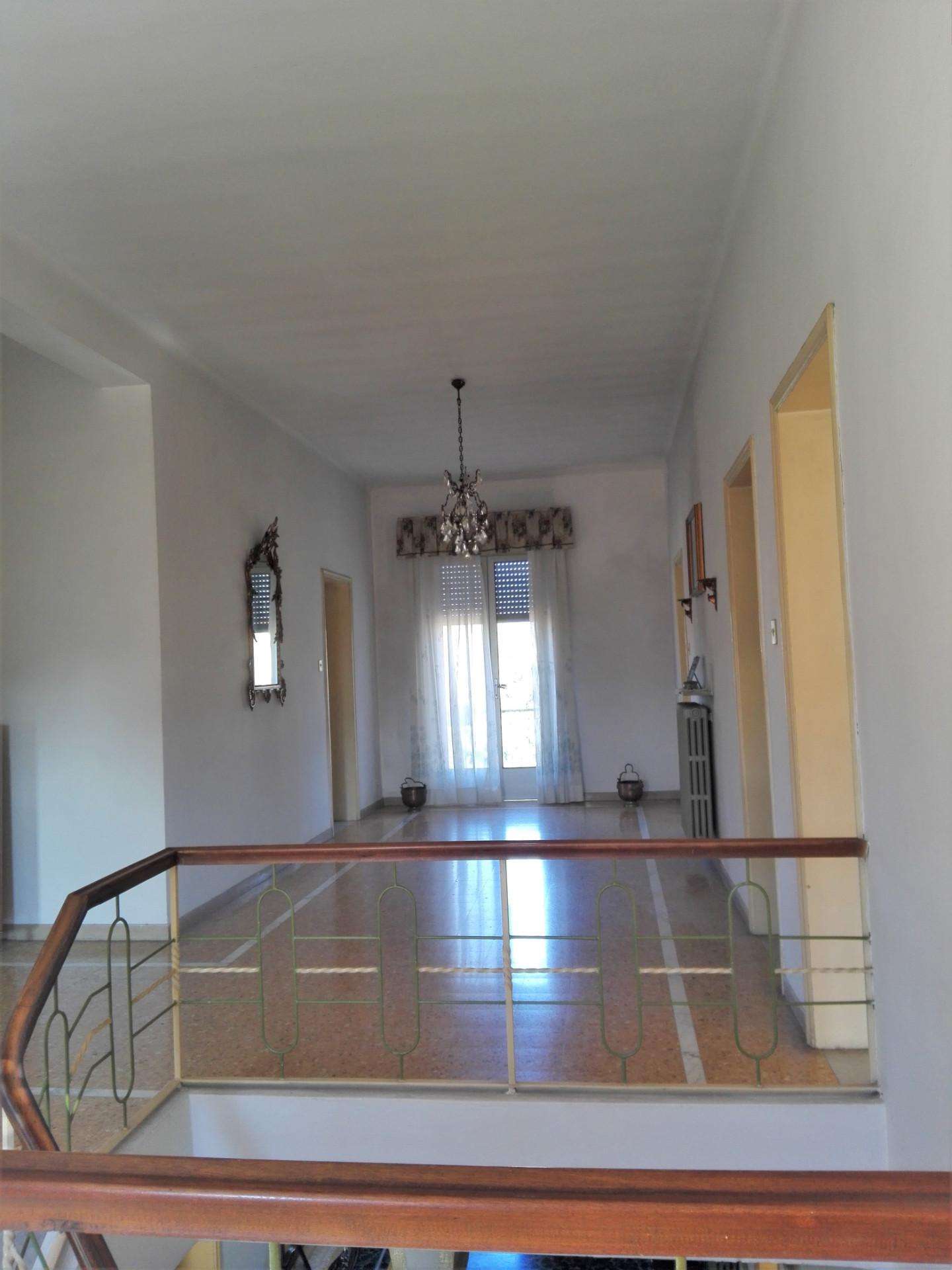  - foto 13