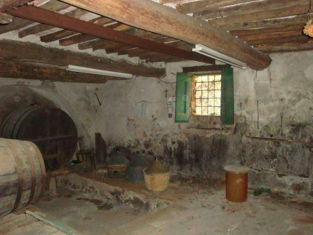  - foto 11