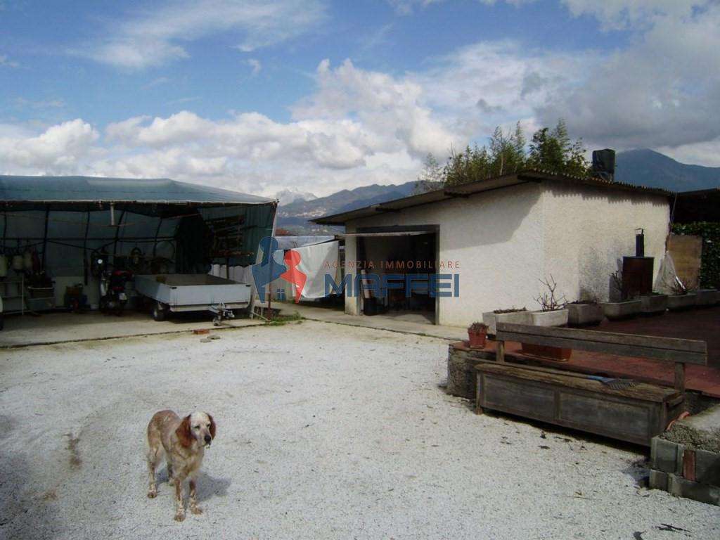 immagine annuncio 2 di 12