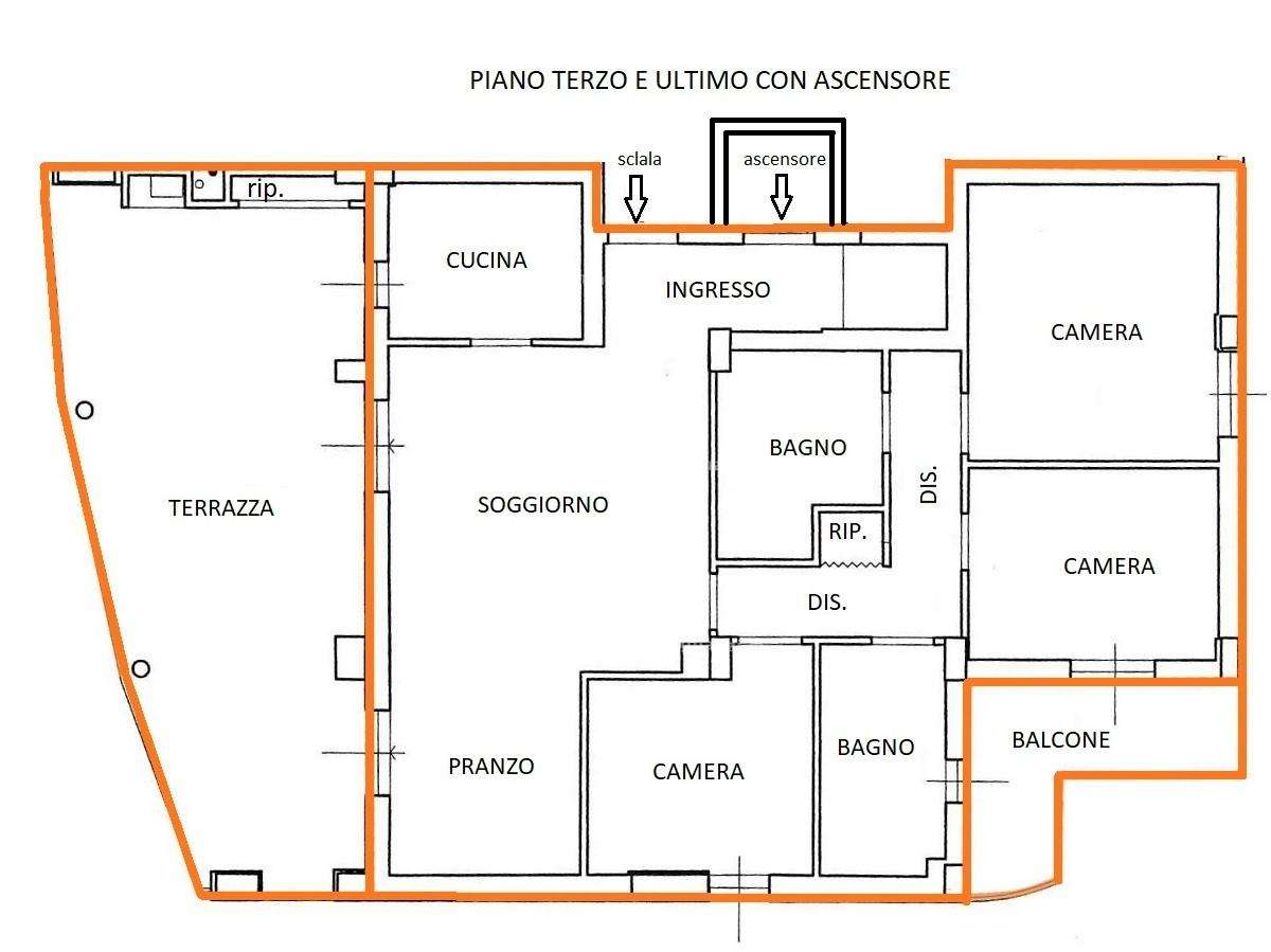 immagine annuncio 9 di 15