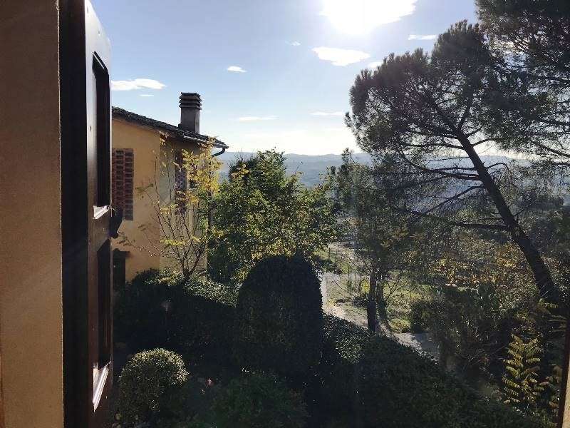  - foto 17