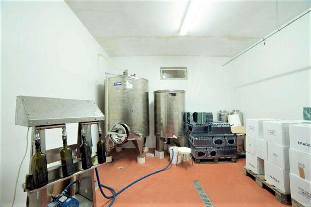  - foto 17
