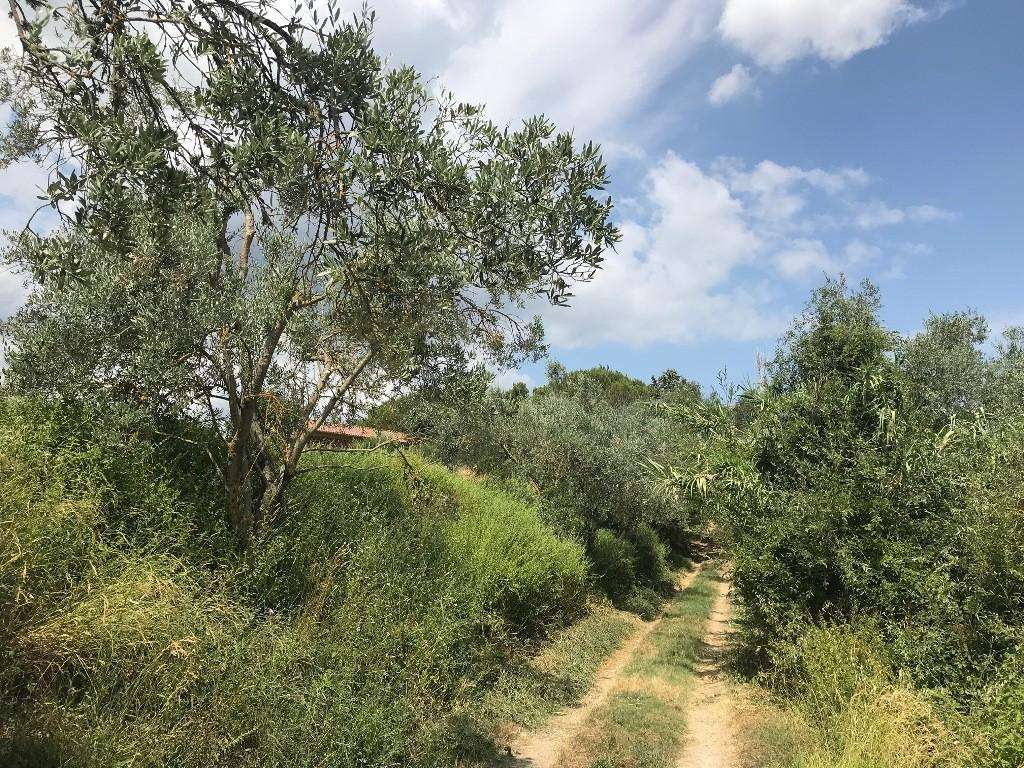  - foto 9