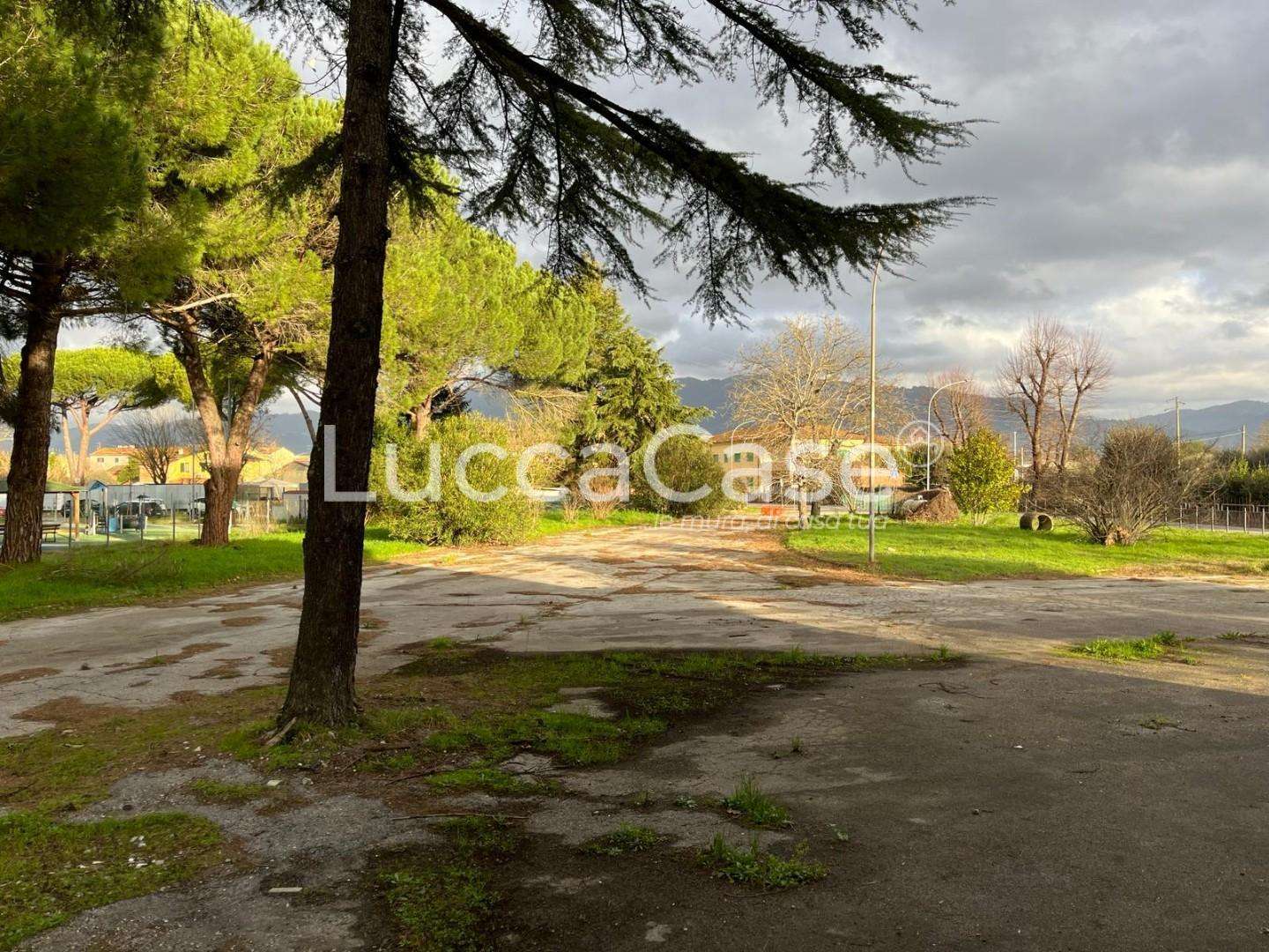  - foto 11