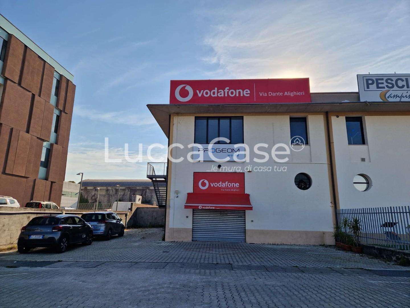 immagine annuncio 5 di 6
