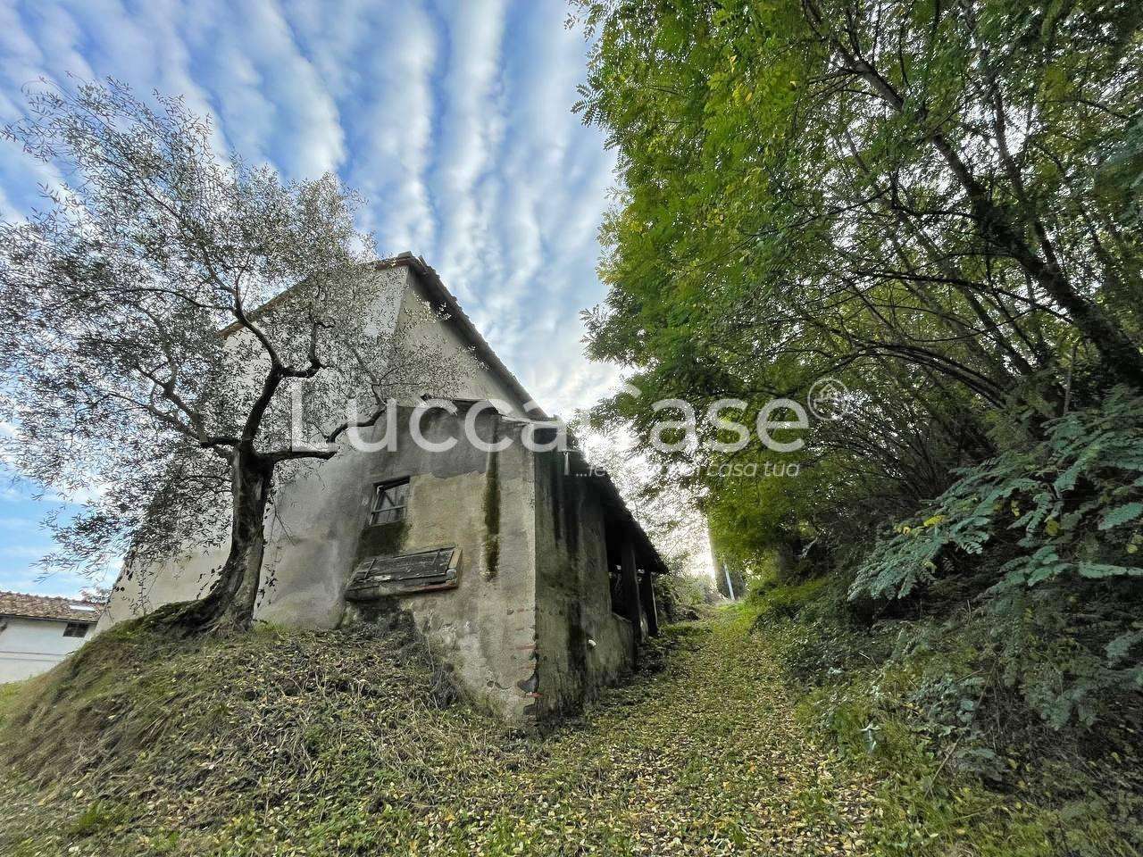  - foto 16
