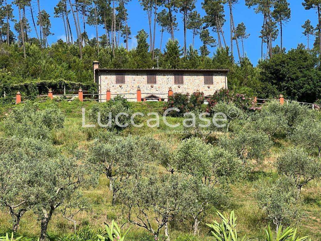 casa indipendente in vendita a Capannori