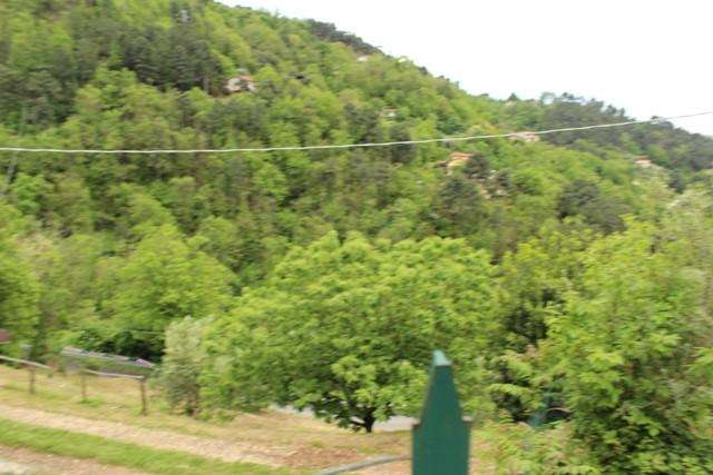  - foto 11