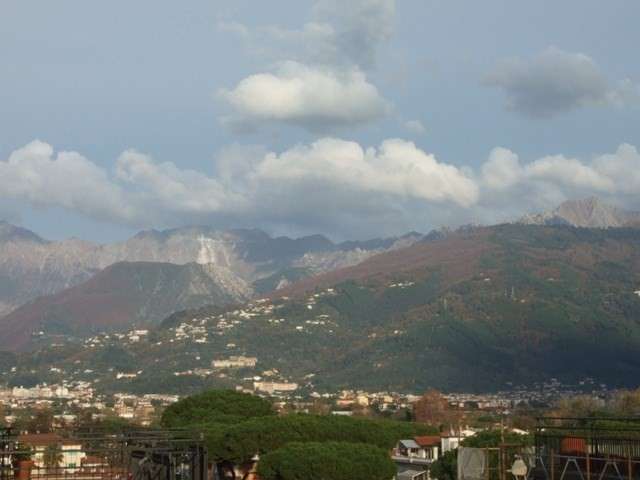 immagine annuncio 7 di 14