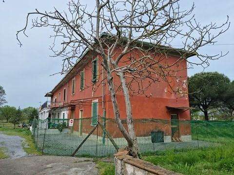 immagine annuncio 3 di 8