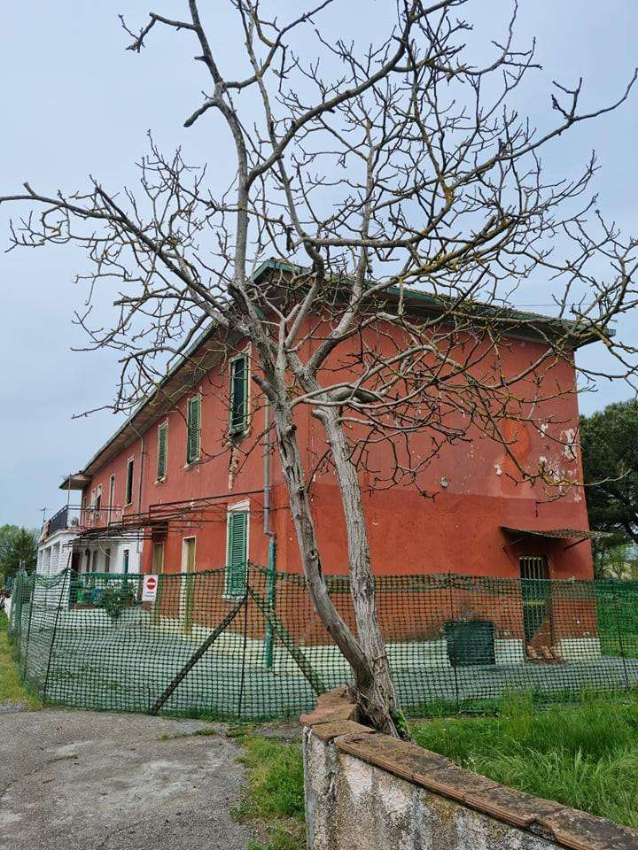 immagine annuncio 4 di 8