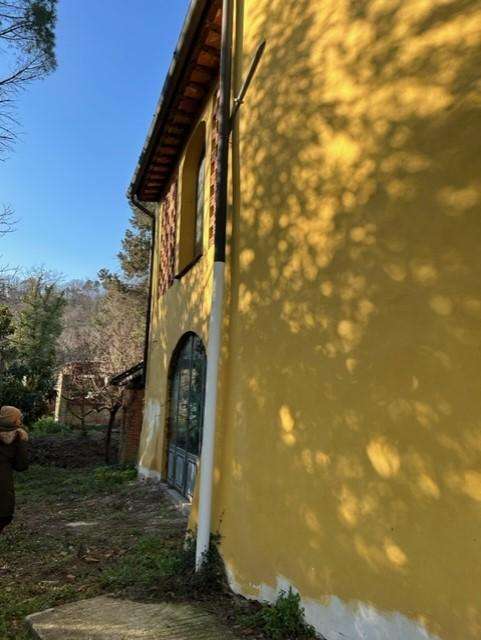  - foto 19