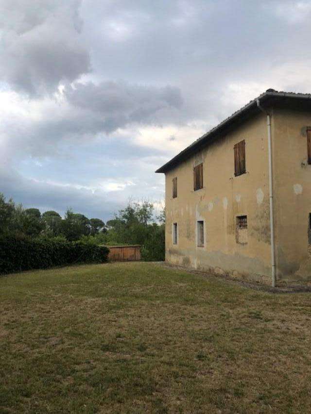 immagine annuncio 5 di 11
