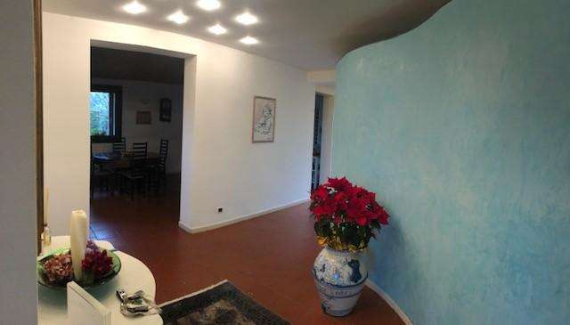  - foto 6