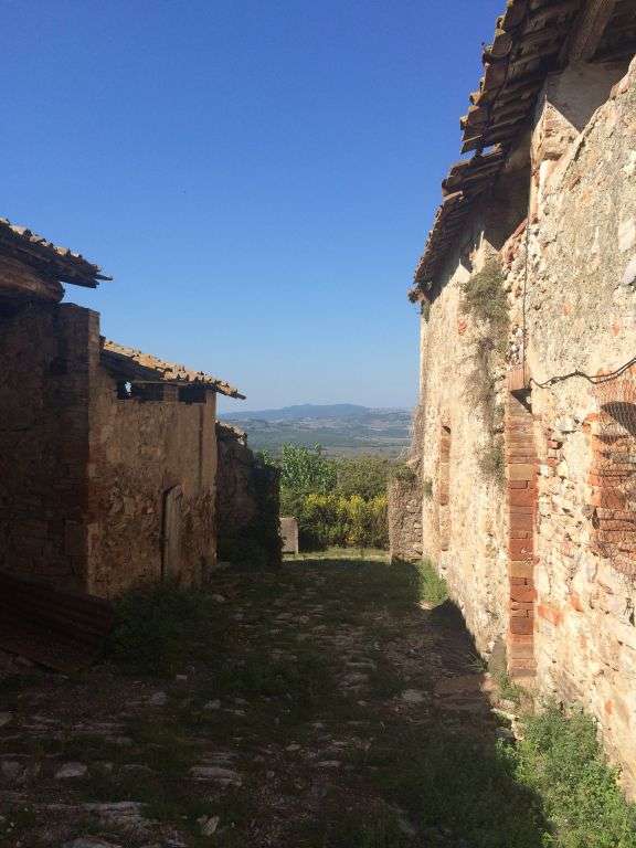 immagine annuncio 4 di 7