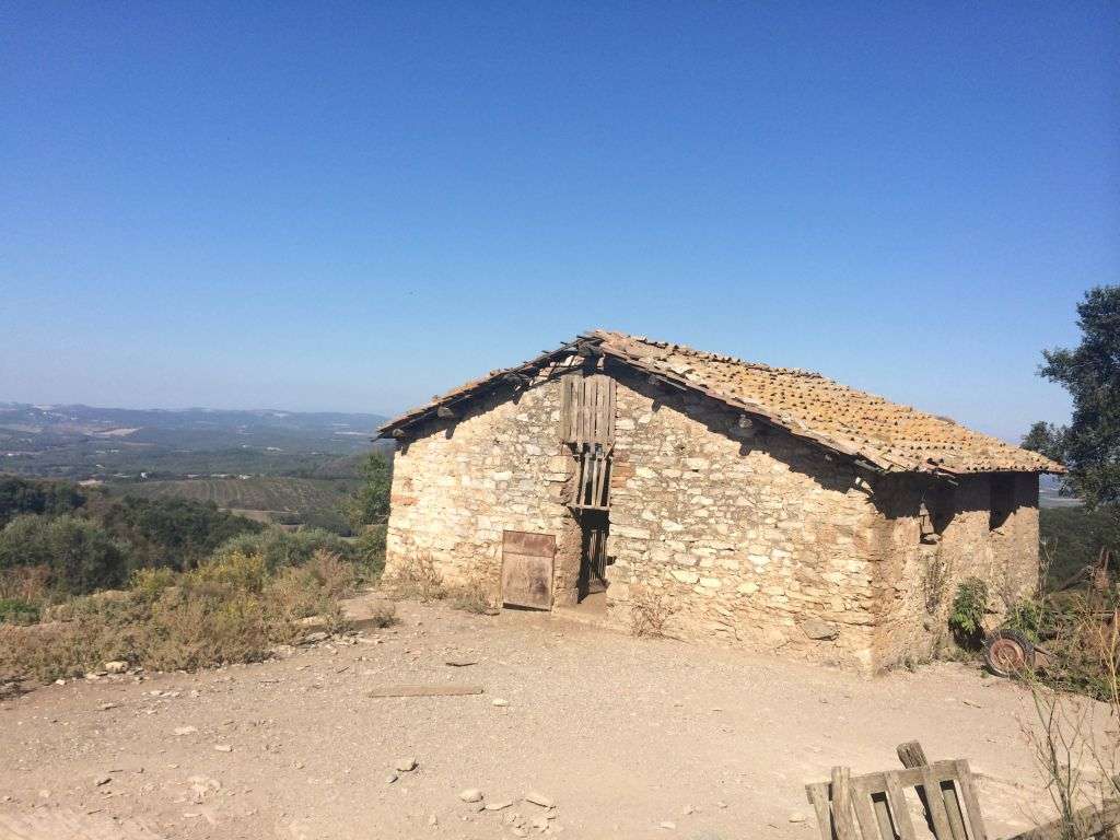 immagine annuncio 5 di 7