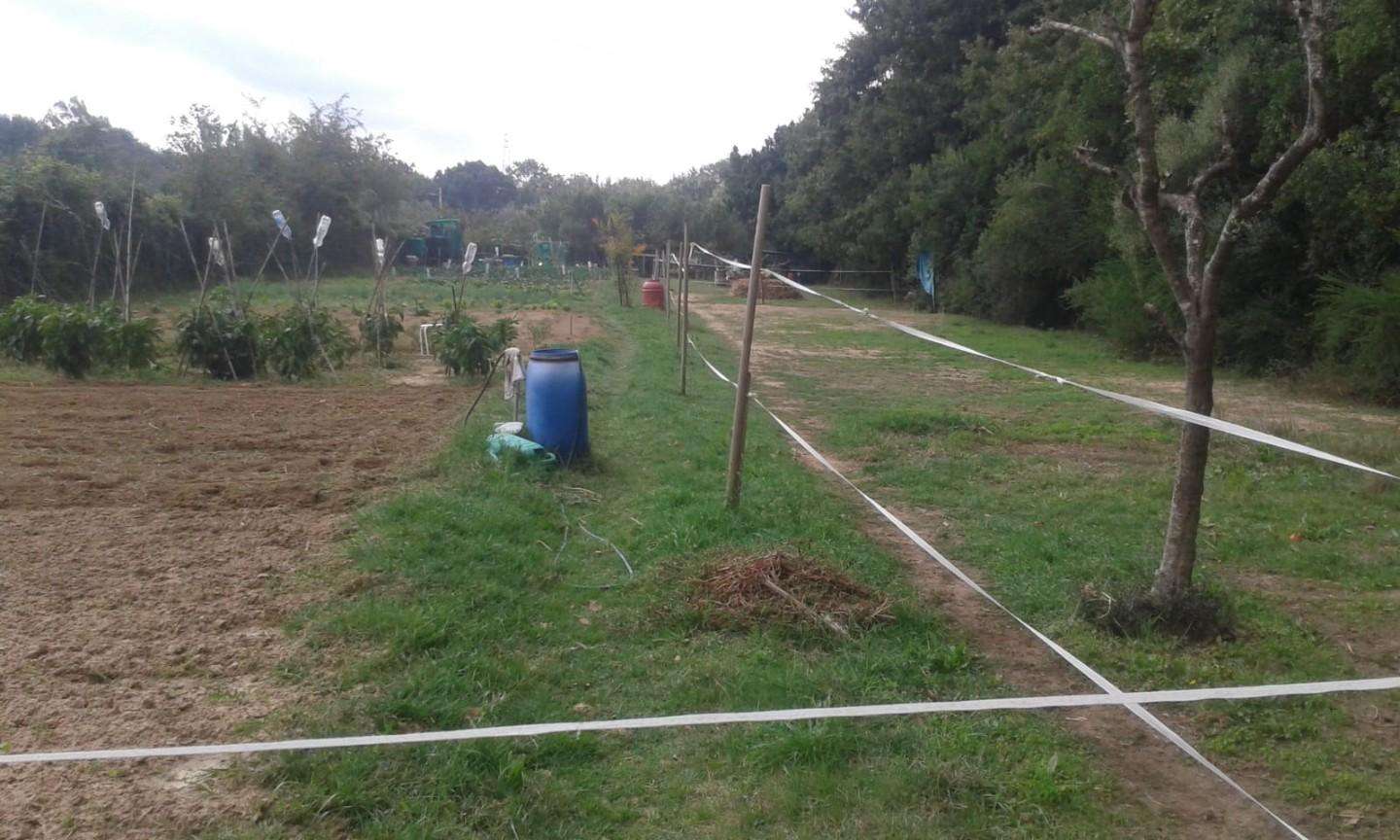 Terreno agricolo in Vendita a Livorno Via delle Sorgenti,