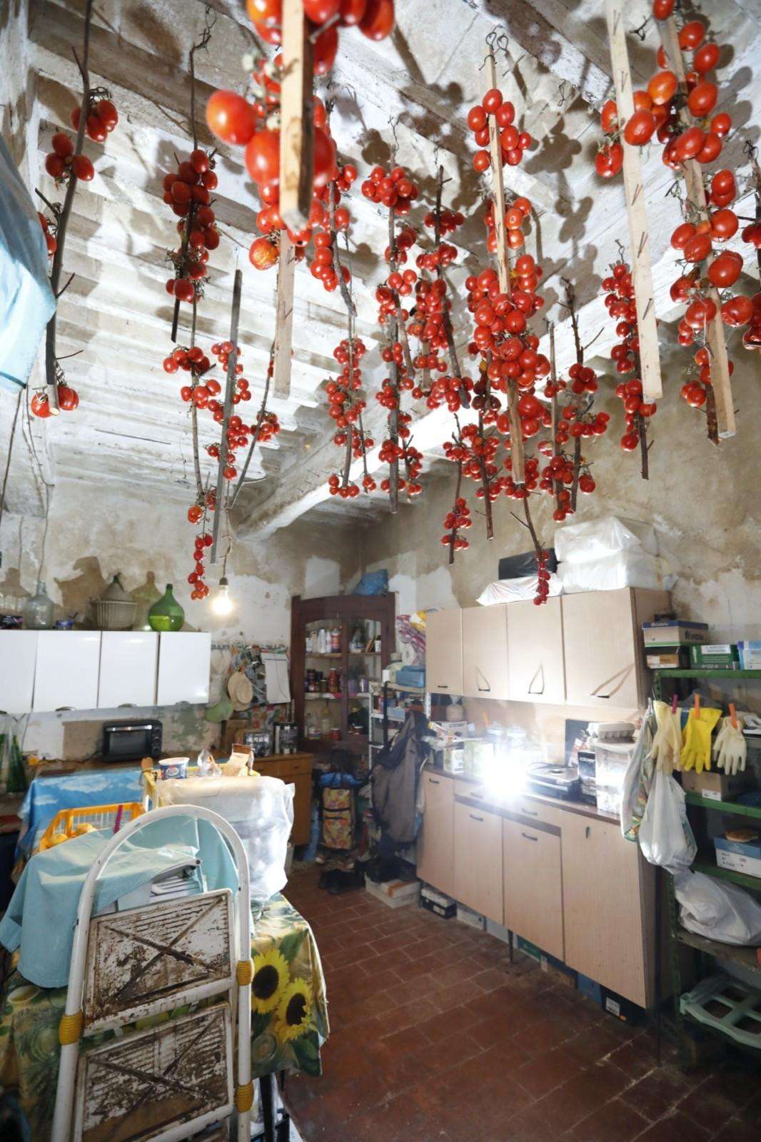  - foto 13