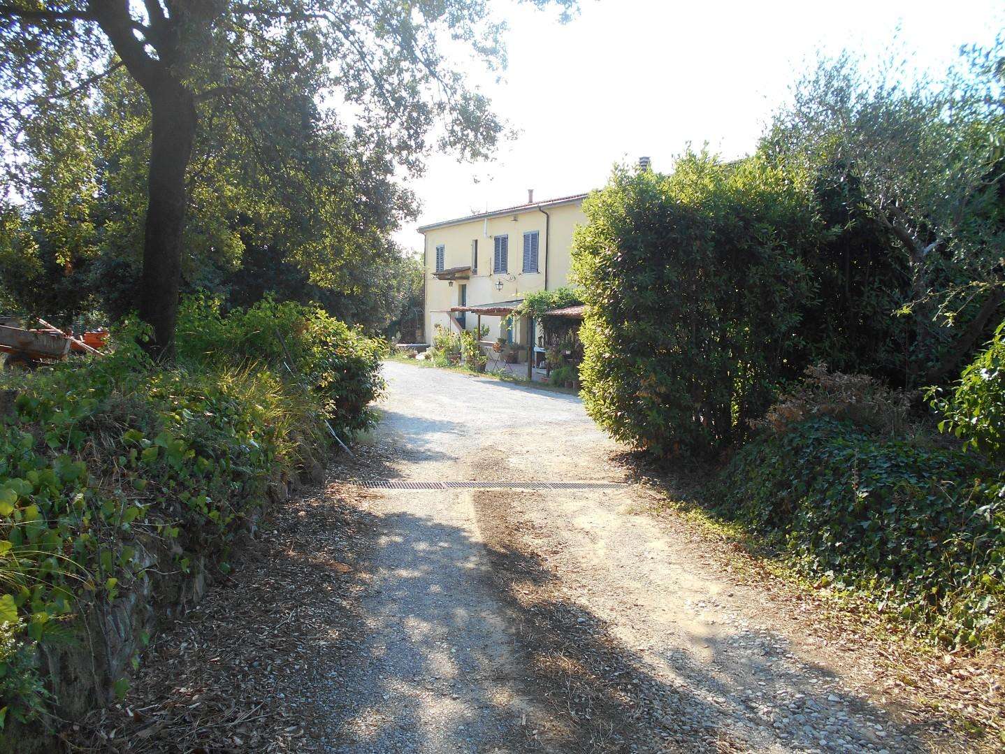 immagine annuncio 0 di 15