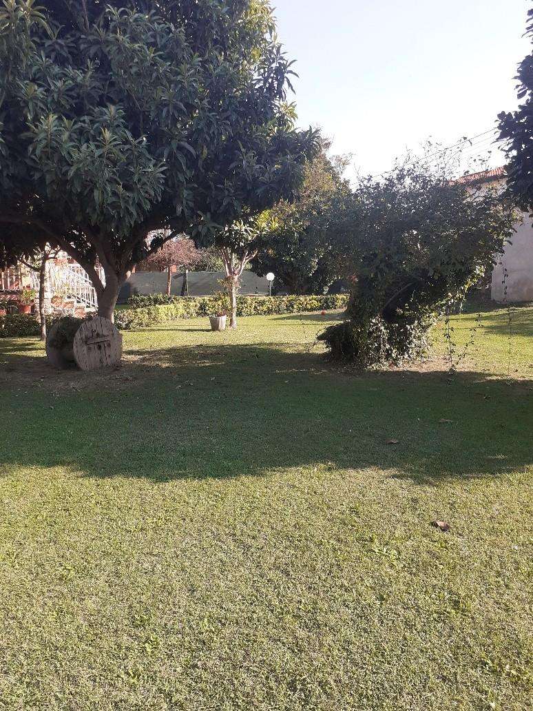 immagine annuncio 9 di 13