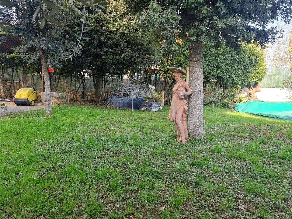  - foto 4
