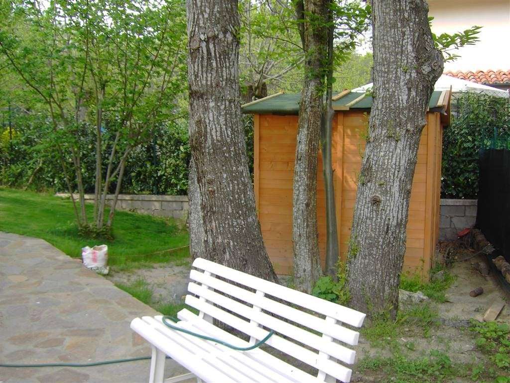  - foto 7