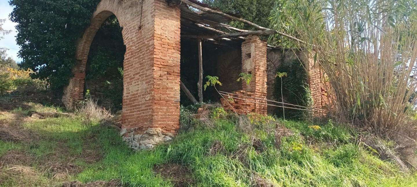 immagine annuncio 3 di 11